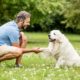A Complete Pet Training Masterclass