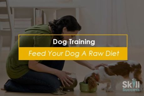 Dog Training: Feed Your Dog A Raw Diet