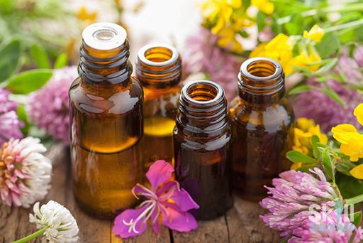 Aromatherapy: How To Use Essential Oils In Your Everyday Life