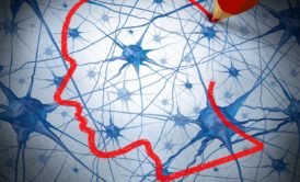 Psychology Of Memory: Strengthen And Improve Your Memory