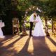Learn The Basics Of DSLR Photography