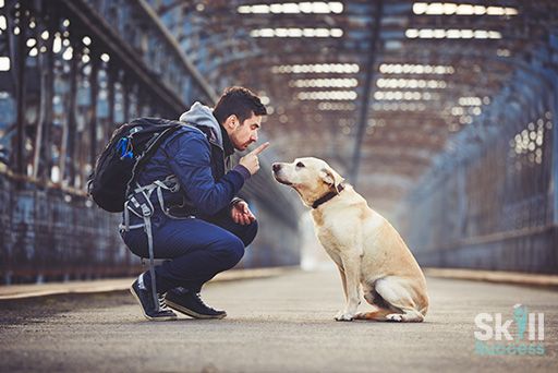 Introduction to Animal Psychology and Pet Behavior