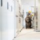 Two men working in a large room with electrical equipment in an Air Insulated Electrical Substation Design