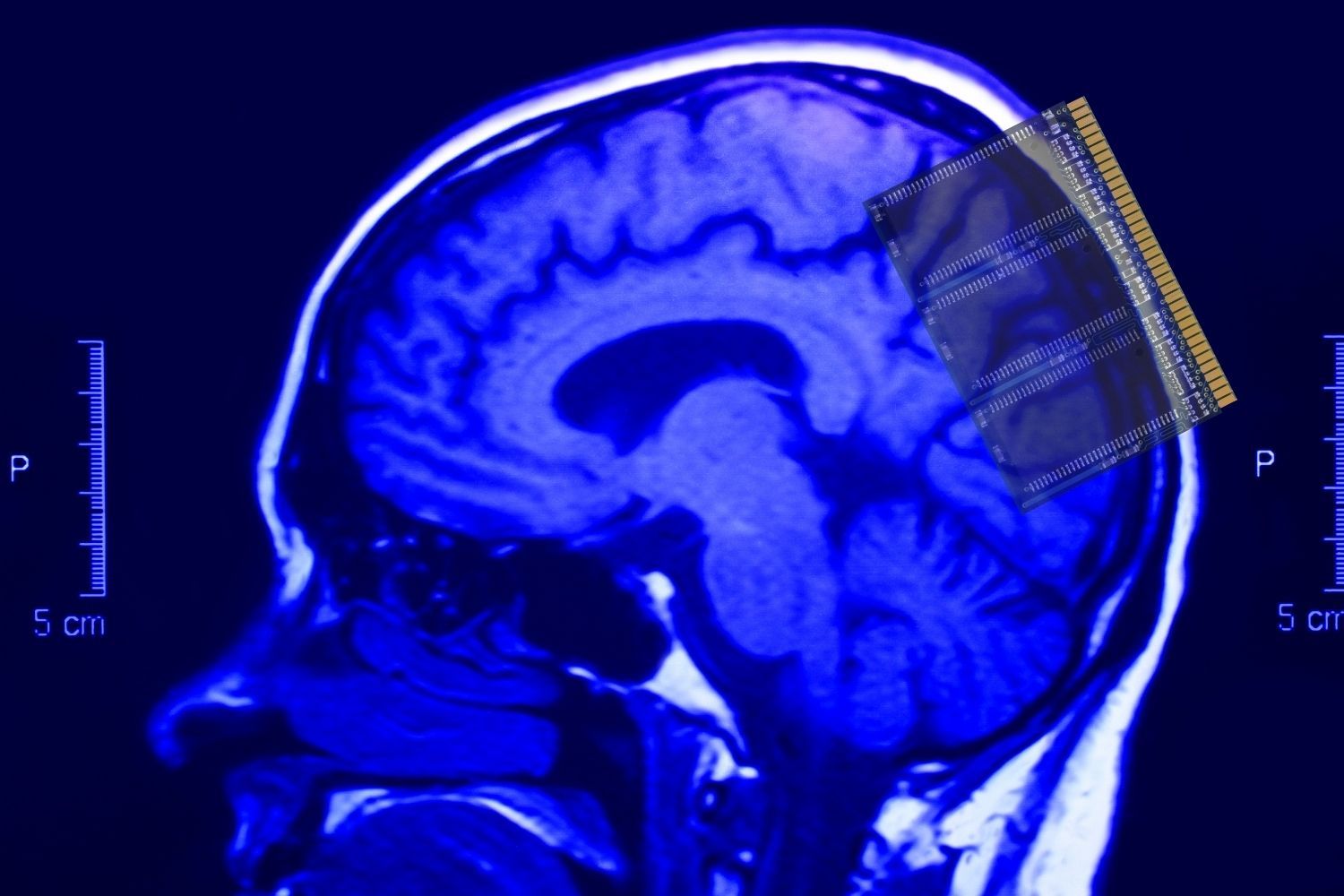 Complete Memory Improvement Course Skill Success