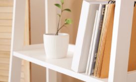 white bookshelf with plant, perfect for storing basics of bookkeeping materials