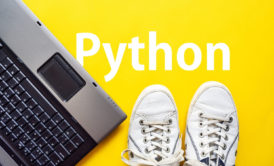 Learn Python Three programming fast