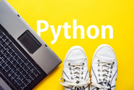 Learn Python Three programming fast