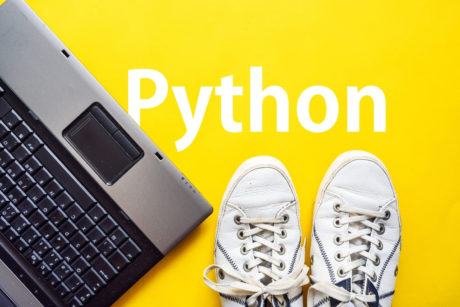 Learn Python Three programming fast
