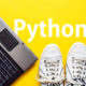 Learn Python Three programming fast