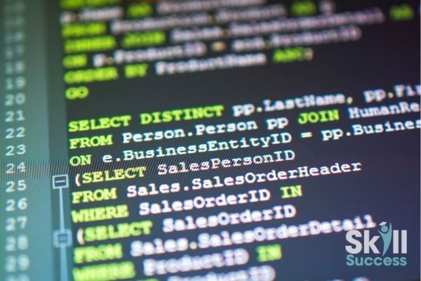 SQL 101: Writing Queries In The SQL Language | Skill Success