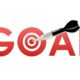 goal with target board