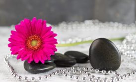 zen stones pink flower