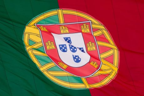 Learn about how the Portuguese language is put together by breaking it down into its different sentence structures