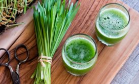 SUPER FOODS: Supercharge Your Body With Nutrition Wheatgrass