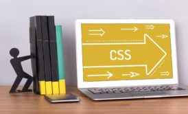 Learn CSS In 1 Hour