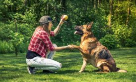 Dog Training: Become A Dog Trainer