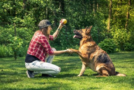 Dog Training: Become A Dog Trainer