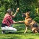 Dog Training: Become A Dog Trainer