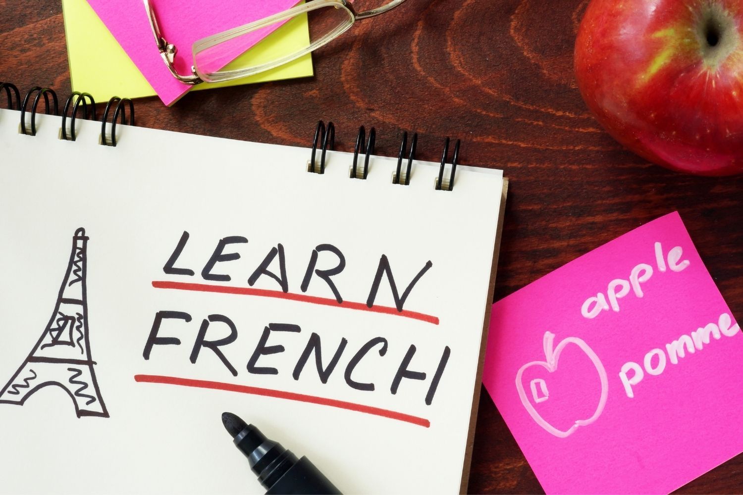 French Books For Beginners Online / learn French online learn french