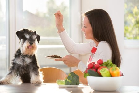 Natural Dog Whispering Pet Diet and Nutrition Training Course