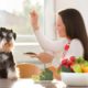 Natural Dog Whispering Pet Diet and Nutrition Training Course