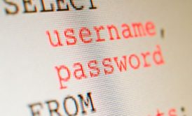 sql username password