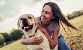 Dog Training: Stop Dog Barking