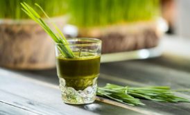 Wheatgrass: How To Grow And Juice A Superfood In 7 Days