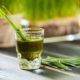 Wheatgrass: How To Grow And Juice A Superfood In 7 Days