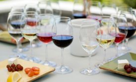 Wine Pairing Course