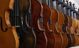 a row of cellos