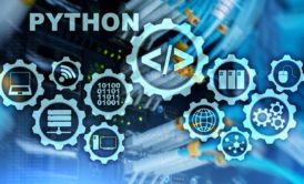 visual representation of python programming bootcamp