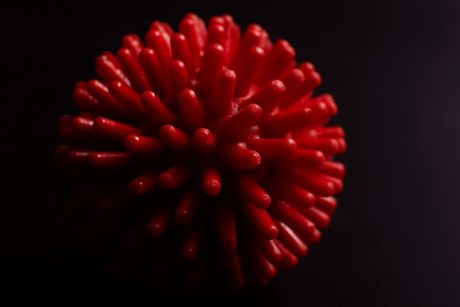 custom coronavirus model made with google colab gpu