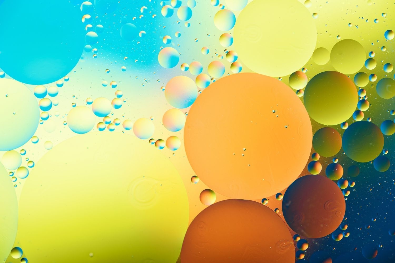 Create A Bubble Popping Game On HTML5 Canvas And JavaScript | Skill Success
