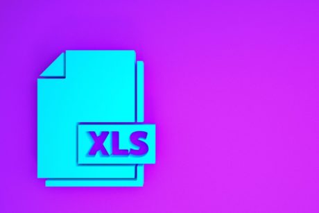 xls file logo