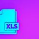xls file logo