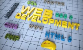 web development and programming languages