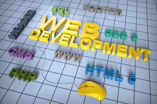 web development and programming languages