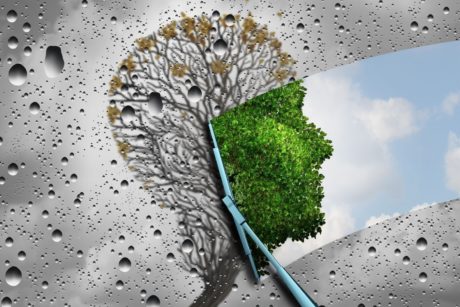 tree shaped like human head