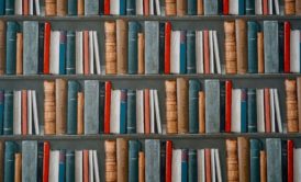 stack of multi-colored literature books