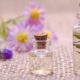lavender flowers and aromatherapy oil in vials