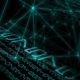 close up of python algorithm