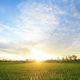 afternoon sun setting over a lush field