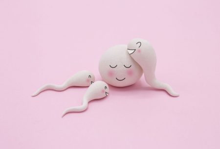 a cartoon illustration of an egg cell and three sperm cells