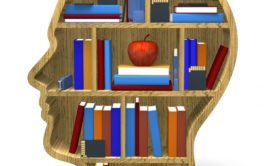 book shelf shaped like a human head with books and a red apple in the middle