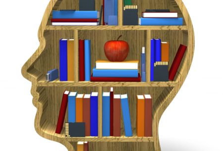 book shelf shaped like a human head with books and a red apple in the middle