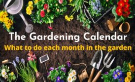 Simple Hacks To Make Gardening Easier Plus DIY Wall Planter