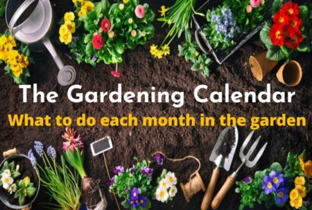 The Gardening Calendar – What To Do Each Month In The Garden