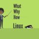 Linux Programming – Bash Scripting And Shell Scripting Complete Guide