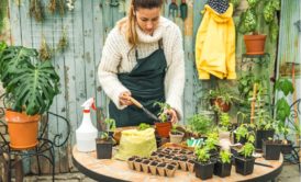 woman home garden